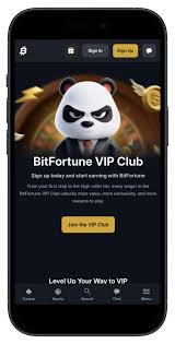 Exploring Bitfortune Live Tables and Crypto Wallets