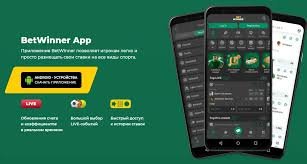 Explore BetWinner Casino Top Features and Offerings
