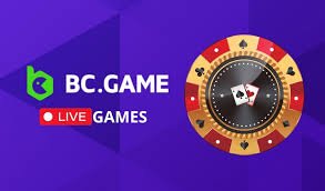 Understanding BC.Game Mirrors Safe and Secure Gaming Experience